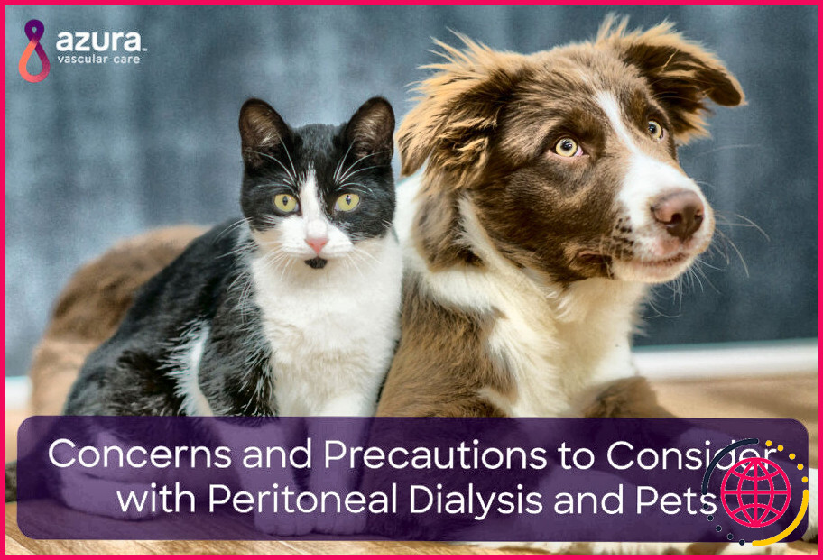 Peut-on avoir des animaux domestiques avec une dialyse péritonéale ?
