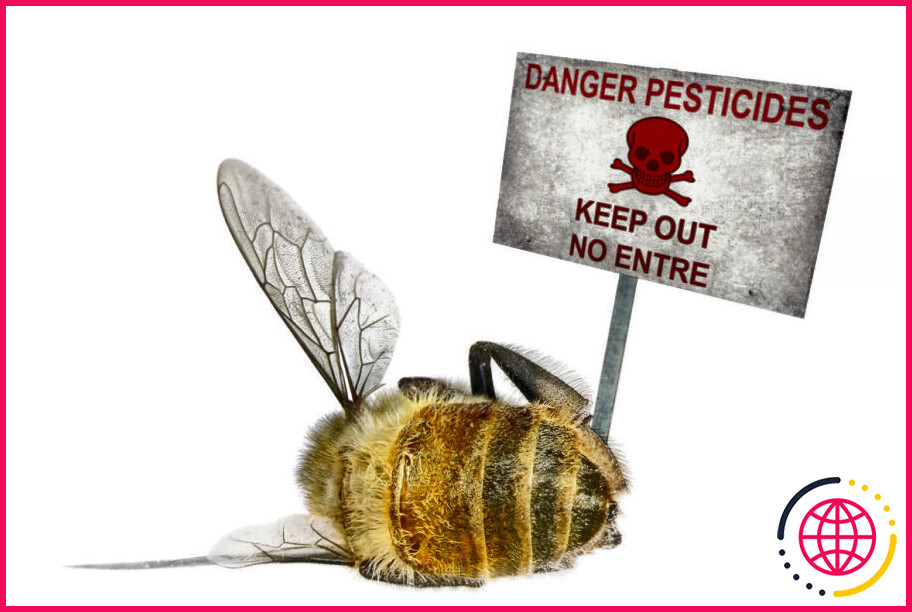 Pourquoi les pesticides sont-ils nocifs pour les abeilles ?
