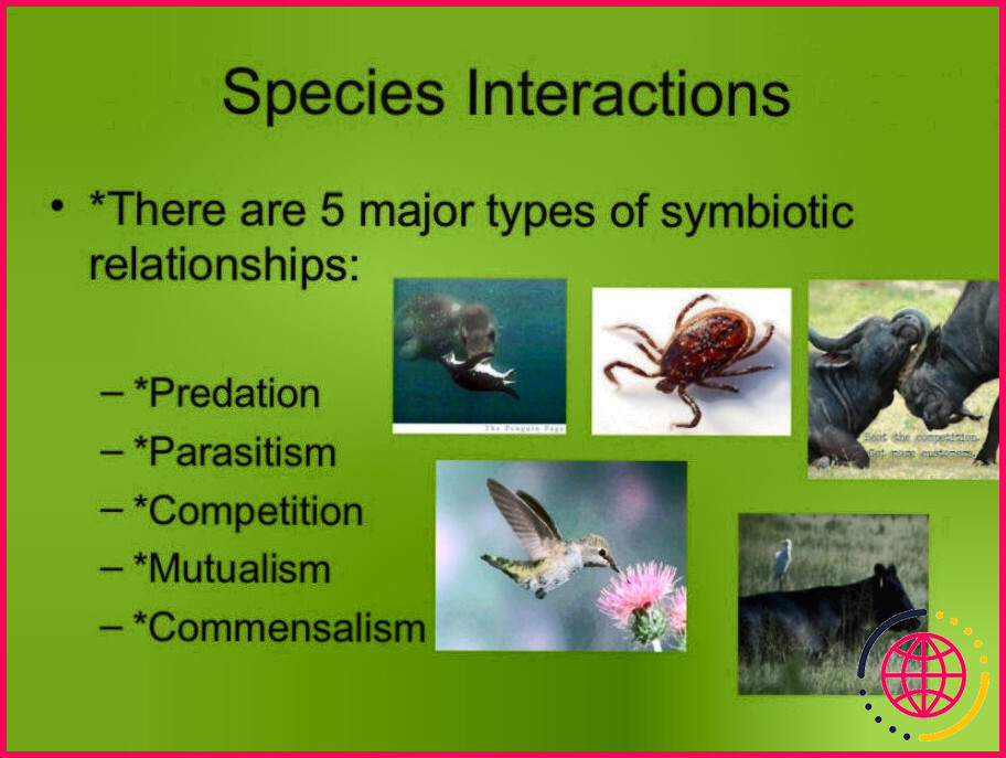 Que sont les interactions entre espèces ?
