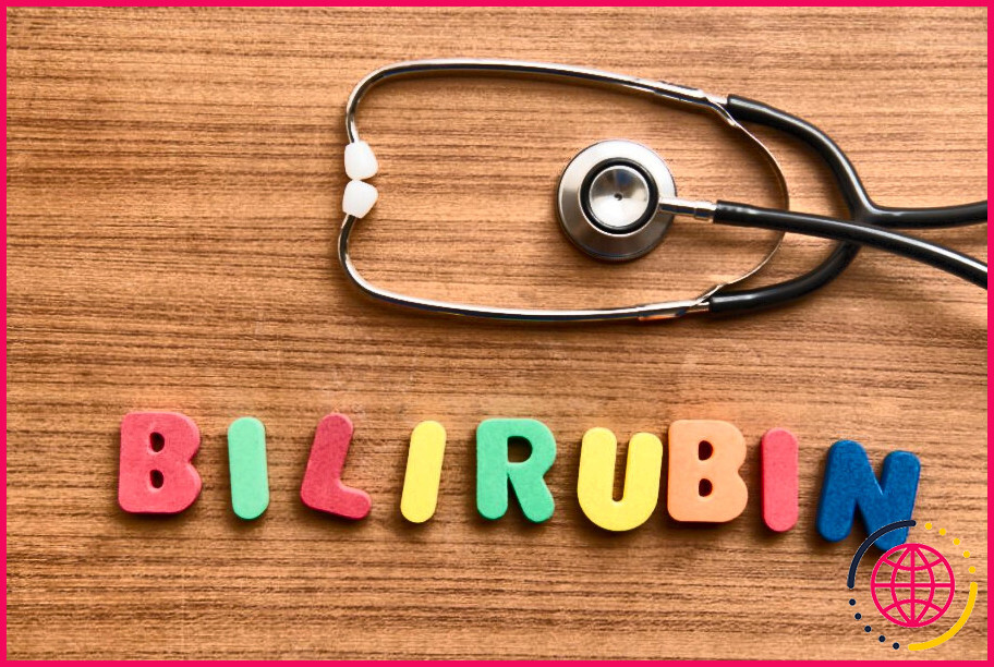 Quel est le rôle de la bilirubine dans l'organisme ?

