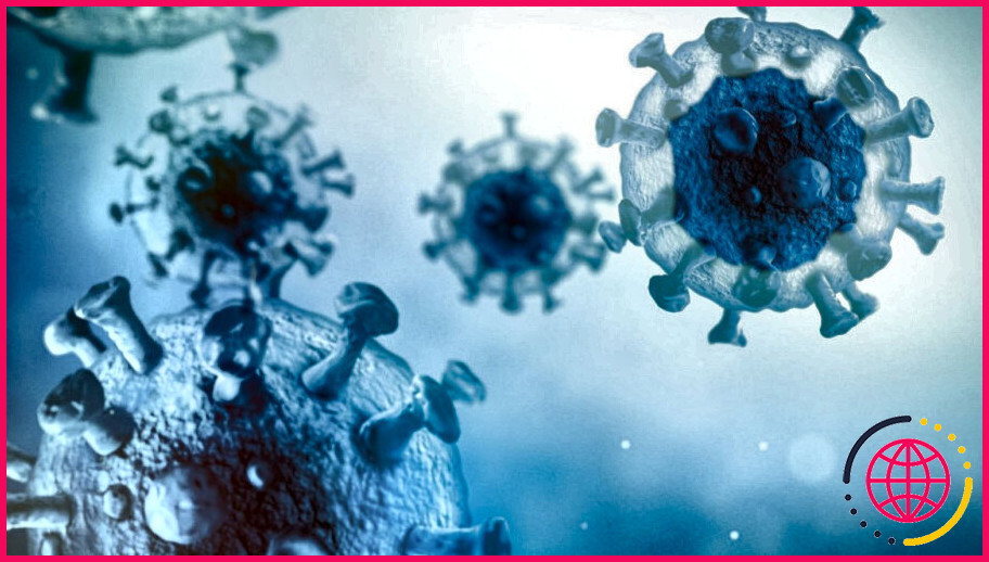 Quel virus possède à la fois de l'adn et de l'arn ?
