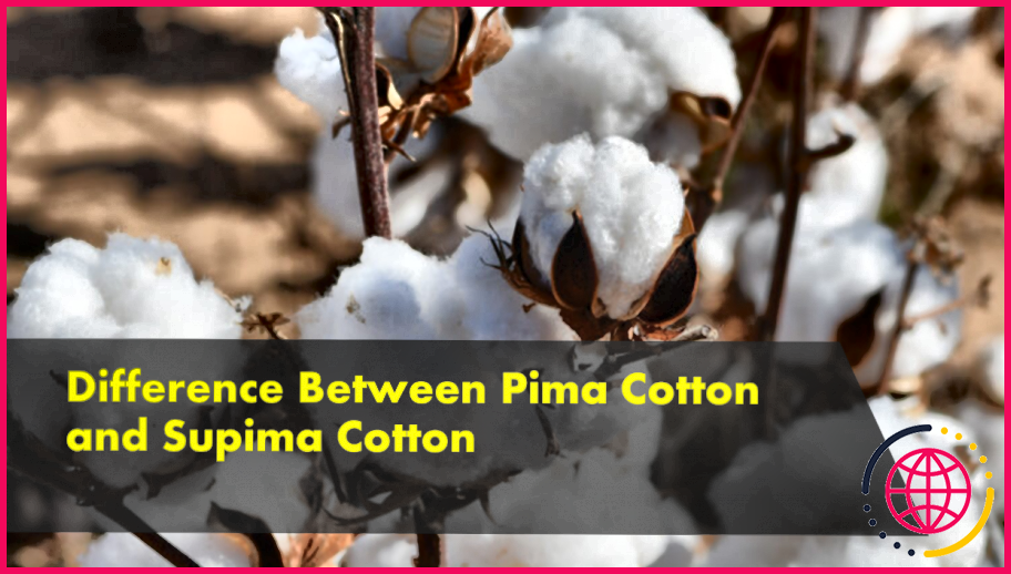 Quelle est la différence entre le coton et le coton supima ?
