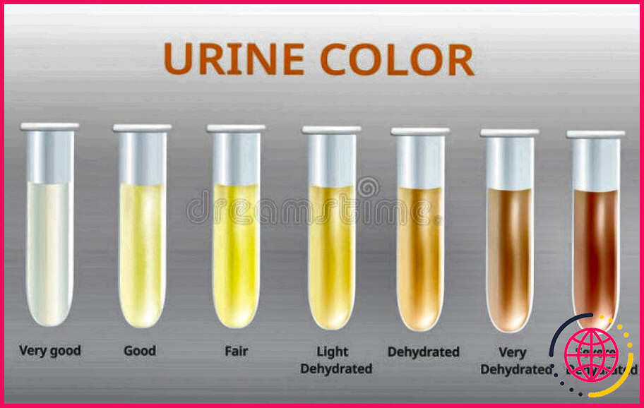 Quelles sont les substances responsables de la couleur normale de l'urine ?

