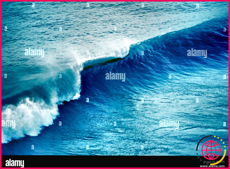 Quels sont les différents types de vagues océaniques ?
