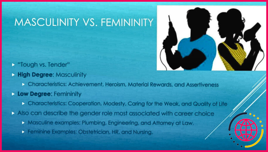 Qu'est-ce que la masculinité et la féminité hofstede ?
