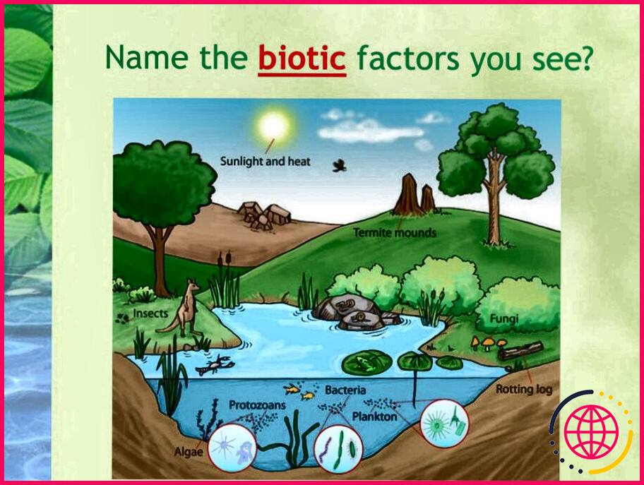 Qu'est-ce que les facteurs biotiques et abiotiques ?
