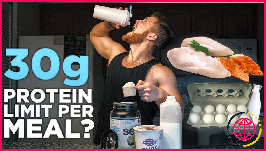Combien de protéines pouvez-vous absorber en une heure ?
