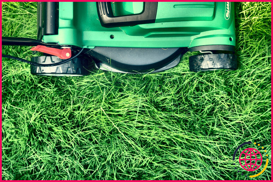 Combien faut-il payer un enfant pour tondre votre pelouse ?
