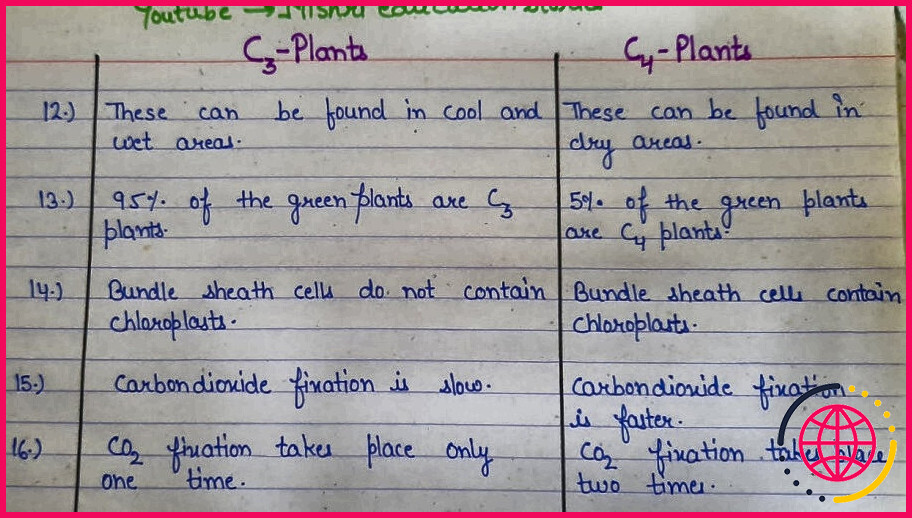 En quoi les plantes c3 et c4 sont-elles différentes ?
