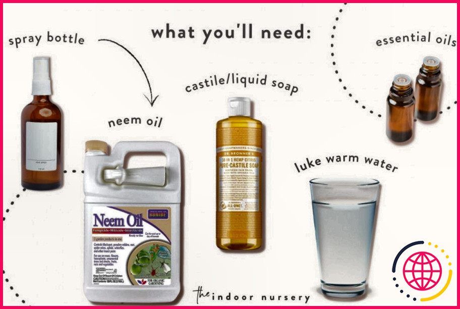 Faut-il diluer l'huile de neem ?
