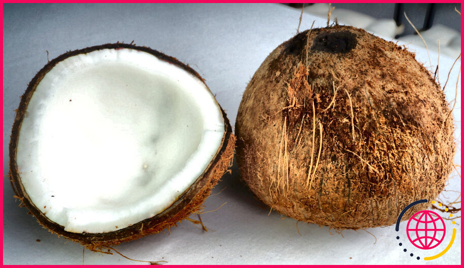 La noix de coco augmente-t-elle la testostérone ?
