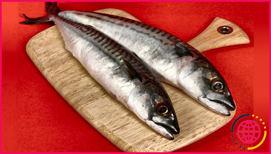Le saumon est-il bon pour la vésicule biliaire?
