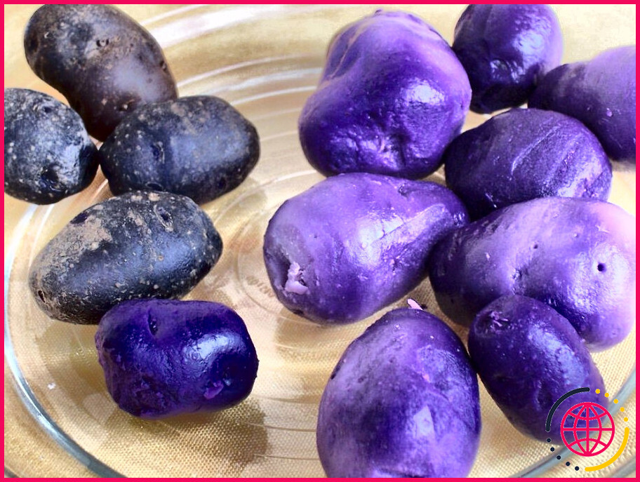 Peut-on manger la peau des pommes de terre bleues ?
