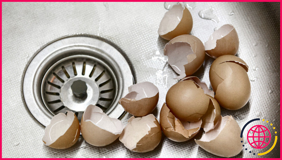 Peut-on mettre des coquilles d'œufs dans le broyeur à ordures ?
