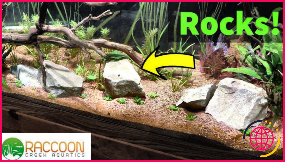 Puis-je utiliser n'importe quelles roches dans mon aquarium ?
