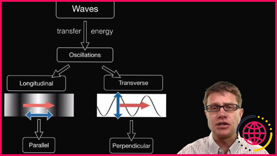 Quelles sont les propriétés des ondes longitudinales et transversales ?
