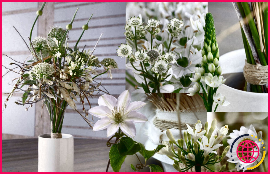 Quels sont les styles populaires d'arrangement floral aujourd'hui ?
