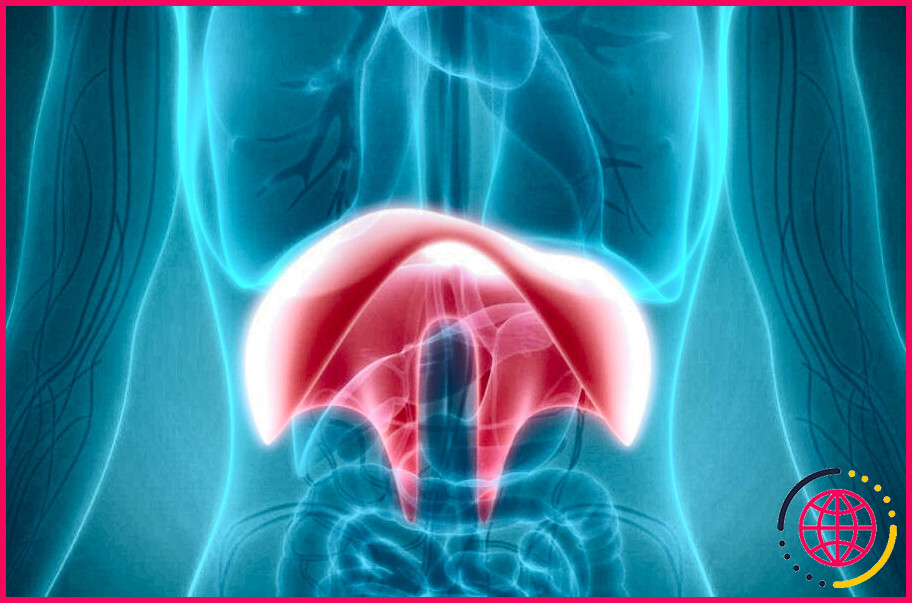 Quels sont les symptômes d'une déchirure du diaphragme ?
