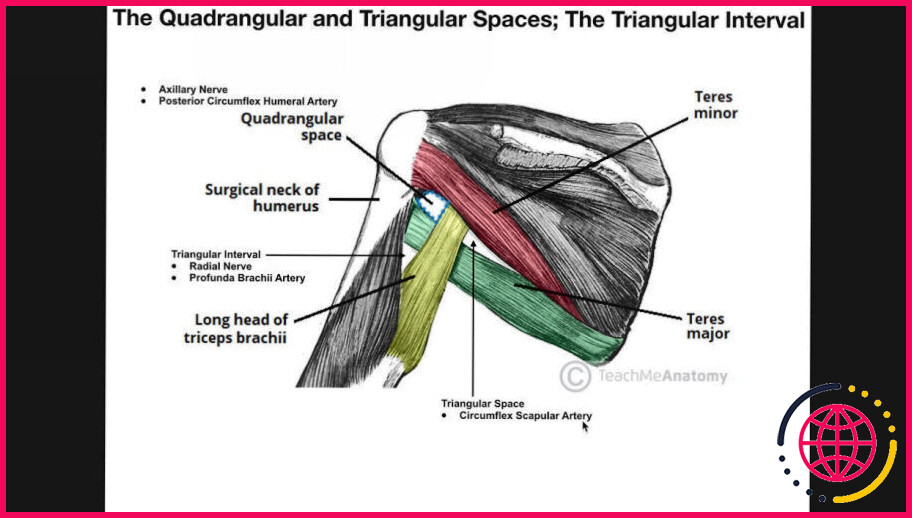 Qu'y a-t-il dans l'espace triangulaire ?
