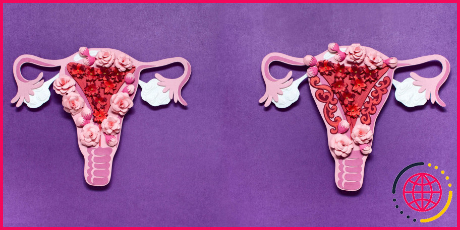 L'endomètre se détache-t-il pendant les menstruations ?