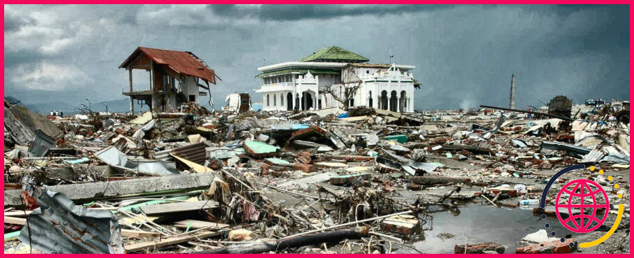 Comment survivre à un tsunami ?