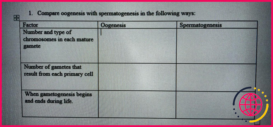 La spermatogénèse et l'ovogénèse sont-elles des notions de base ?