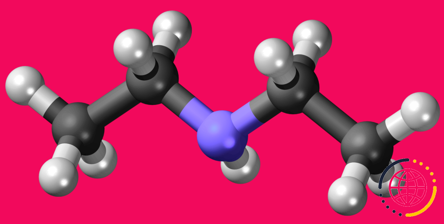 Pourquoi la diméthylamine est une base plus forte que la triméthylamine ?