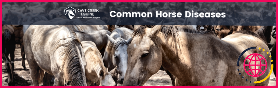 Qu'est-ce que le botulisme chez les chevaux ?