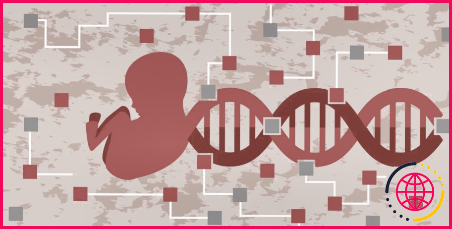 Transféreriez-vous un embryon en mosaïque ?
