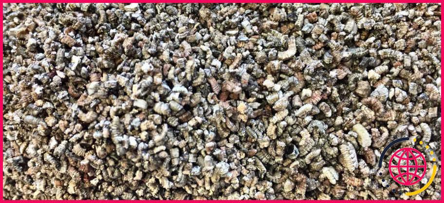A quoi sert la vermiculite ?