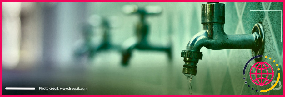 Dans quels pays l'eau est-elle privatisée ?