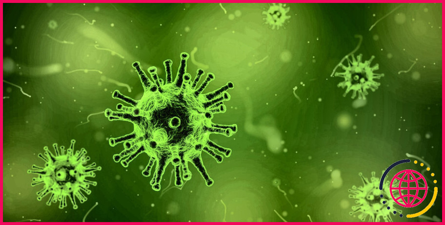 Les parasites intracellulaires obligatoires sont-ils des virus ?