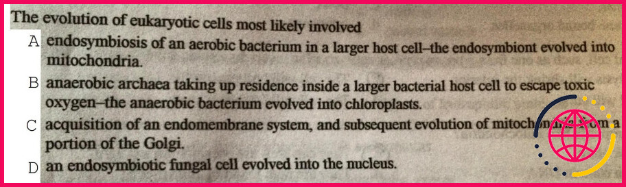 L'osmose provoquerait-elle l'éclatement d'une cellule animale ?