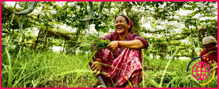 Pourquoi l'agriculture est-elle très importante dans le contexte du Népal ?