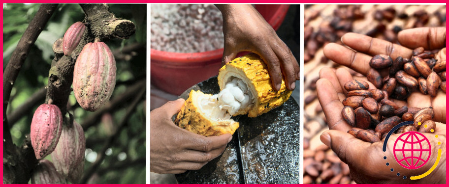 Quelle civilisation utilisait les fèves de cacao comme monnaie ?
