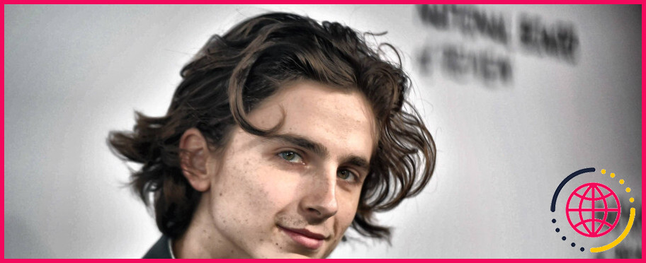 Timothée Chalamet peut-il parler français ?