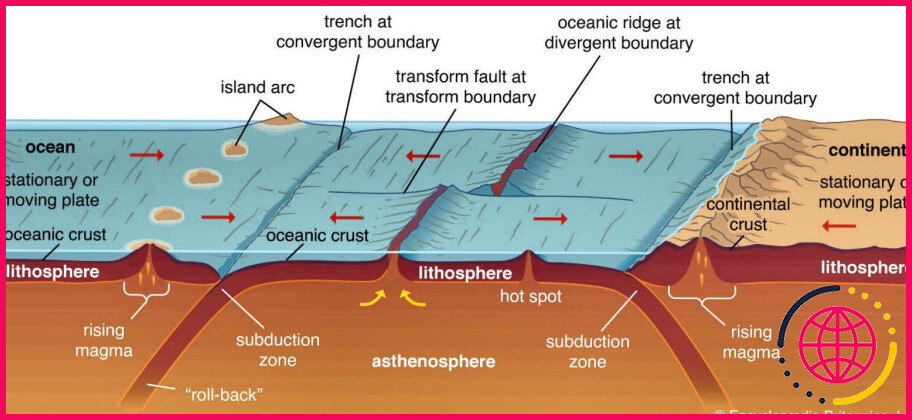 Quelles sont les causes des dorsales médio-océaniques ?