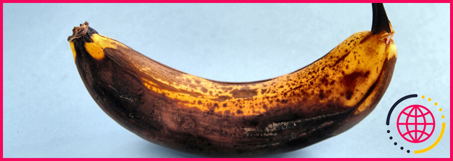 Une banane trop mûre peut-elle être consommée sans danger ?